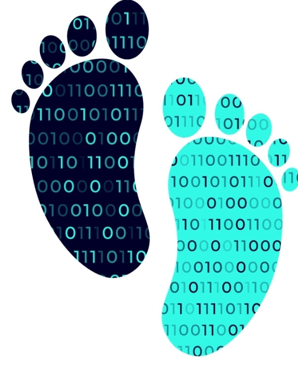 en-TASC für 10 Identifier (jährlich)