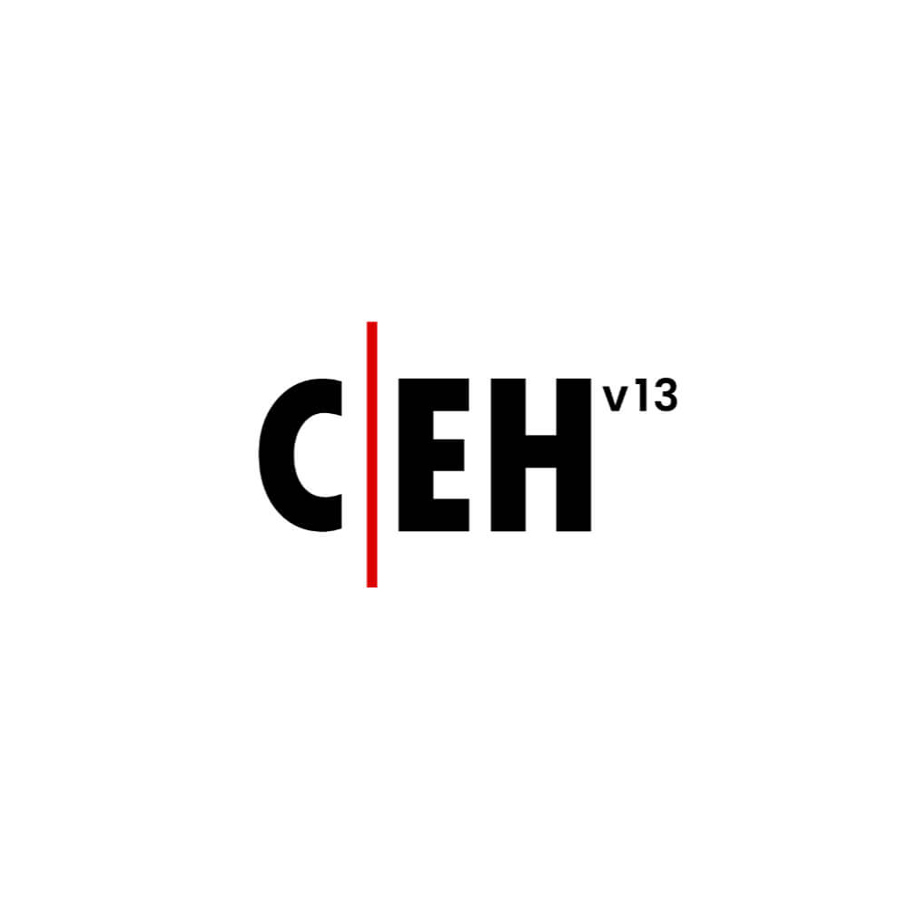 Certified Ethical Hacker Ver 13 Elite